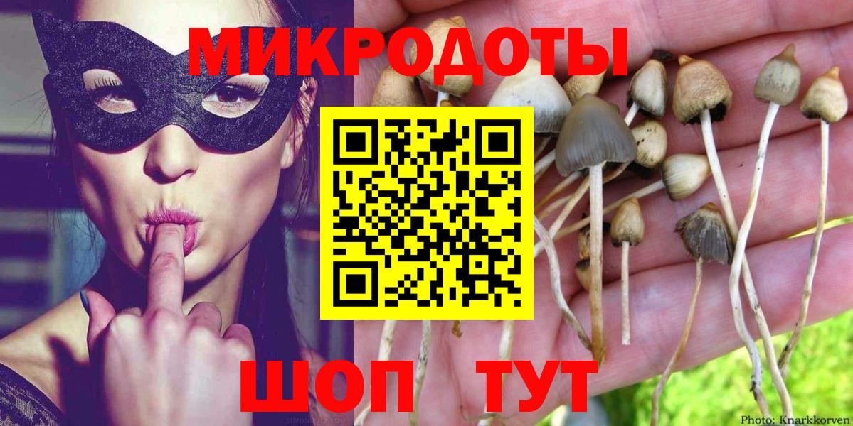 Галлюциногенные грибы ЛСД Чернушка