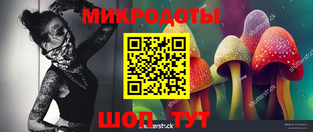 Чернушка  Галлюциногенные грибы Psilocybine cubensis  Вход с VPN  закладки  Псилоцибиновые грибы Cubensis 