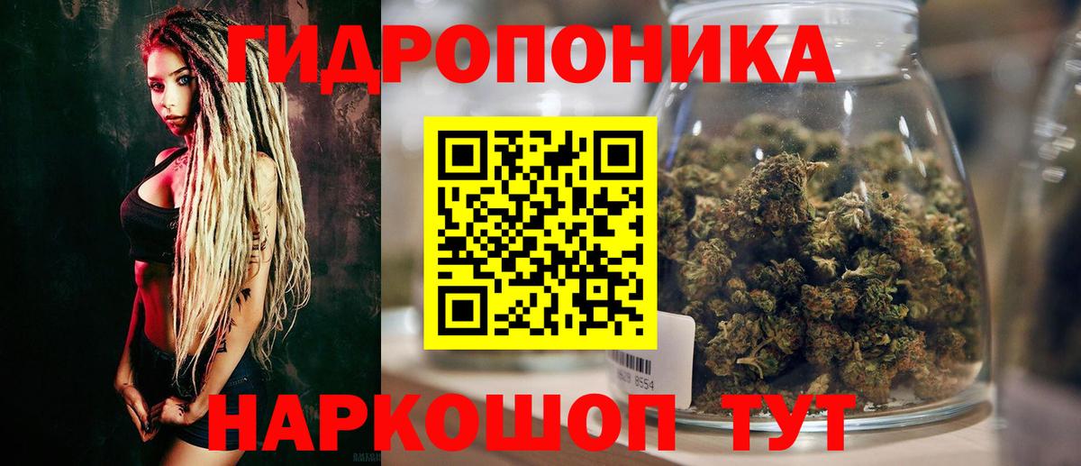 МАРИХУАНА сатива Чернушка